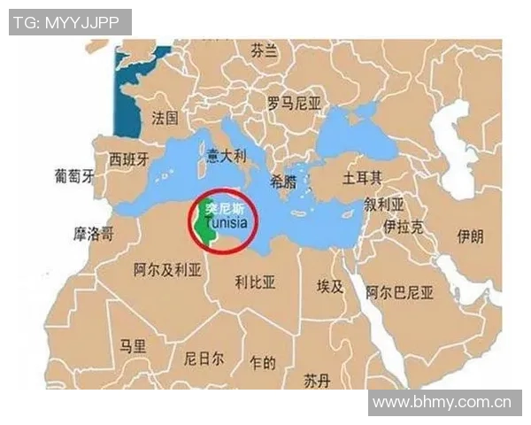 加纳与突尼斯历史交锋战绩分析及未来展望